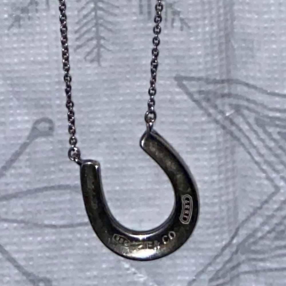 Authentic Tiffany & Co retired horseshoe necklace